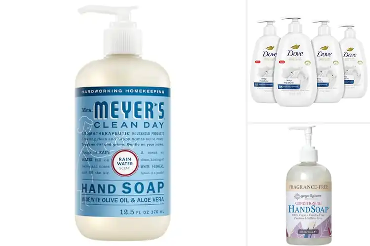 Detailed view of Best Gentle Hand Soaps