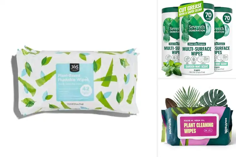 Detailed view of Best Plant-Based Wipes